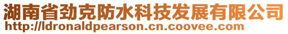 湖南省勁克防水科技發展有限公司