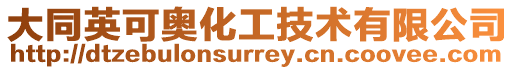 大同英可奧化工技術(shù)有限公司