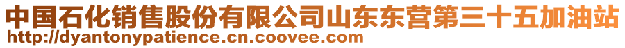 中國(guó)石化銷(xiāo)售股份有限公司山東東營(yíng)第三十五加油站