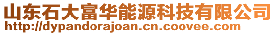 山東石大富華能源科技有限公司