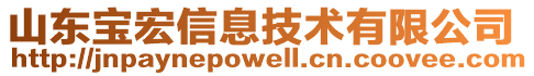 山東寶宏信息技術有限公司