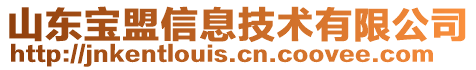 山東寶盟信息技術(shù)有限公司