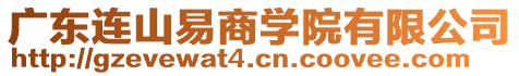 廣東連山易商學(xué)院有限公司