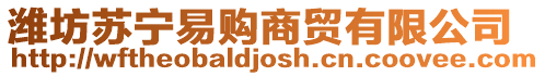 濰坊蘇寧易購商貿(mào)有限公司