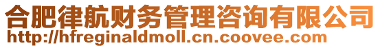合肥律航財(cái)務(wù)管理咨詢有限公司