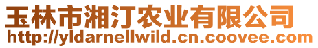 玉林市湘汀農(nóng)業(yè)有限公司
