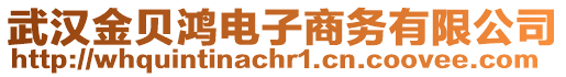 武漢金貝鴻電子商務(wù)有限公司