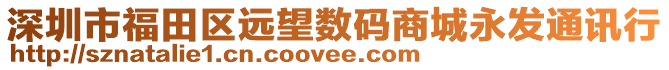 深圳市福田區(qū)遠(yuǎn)望數(shù)碼商城永發(fā)通訊行