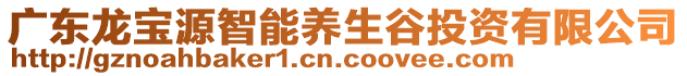 廣東龍寶源智能養(yǎng)生谷投資有限公司