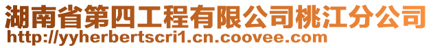 湖南省第四工程有限公司桃江分公司