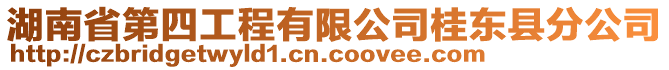 湖南省第四工程有限公司桂東縣分公司