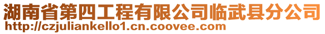 湖南省第四工程有限公司臨武縣分公司