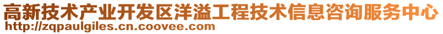 高新技術(shù)產(chǎn)業(yè)開發(fā)區(qū)洋溢工程技術(shù)信息咨詢服務(wù)中心