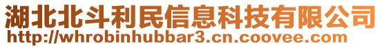 湖北北斗利民信息科技有限公司