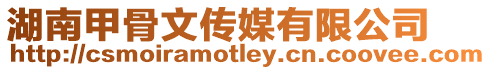 湖南甲骨文傳媒有限公司