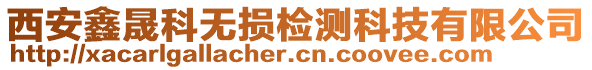 西安鑫晟科無(wú)損檢測(cè)科技有限公司