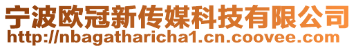 寧波歐冠新傳媒科技有限公司