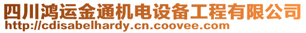 四川鴻運金通機電設(shè)備工程有限公司