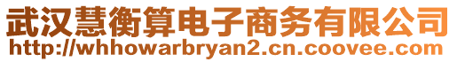 武漢慧衡算電子商務(wù)有限公司