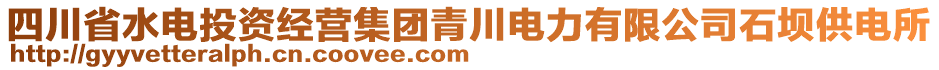 四川省水電投資經營集團青川電力有限公司石壩供電所