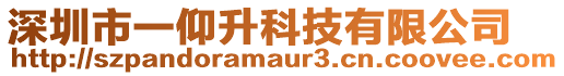 深圳市一仰升科技有限公司