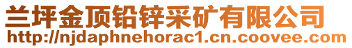 蘭坪金頂鉛鋅采礦有限公司