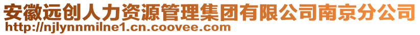 安徽遠(yuǎn)創(chuàng)人力資源管理集團(tuán)有限公司南京分公司