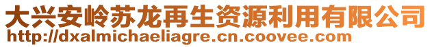 大兴安岭苏龙再生资源利用有限公司