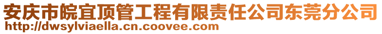 安慶市皖宜頂管工程有限責(zé)任公司東莞分公司