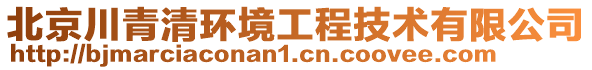 北京川青清環(huán)境工程技術(shù)有限公司