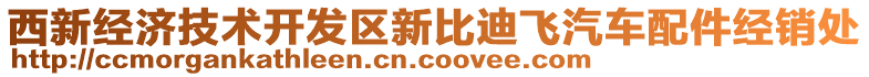 西新經濟技術開發(fā)區(qū)新比迪飛汽車配件經銷處