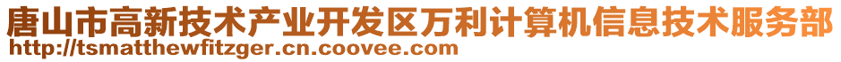 唐山市高新技術(shù)產(chǎn)業(yè)開發(fā)區(qū)萬利計算機(jī)信息技術(shù)服務(wù)部