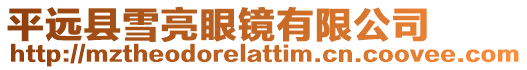 平遠(yuǎn)縣雪亮眼鏡有限公司