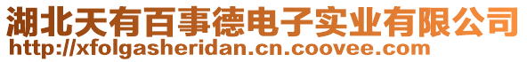 湖北天有百事德電子實業(yè)有限公司