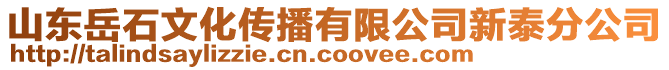 山東岳石文化傳播有限公司新泰分公司