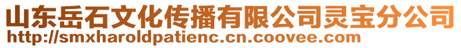 山東岳石文化傳播有限公司靈寶分公司