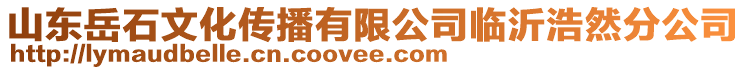 山東岳石文化傳播有限公司臨沂浩然分公司