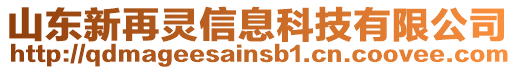 山東新再靈信息科技有限公司