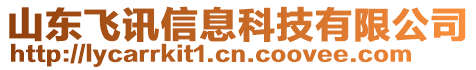 山東飛訊信息科技有限公司