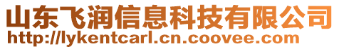 山東飛潤(rùn)信息科技有限公司