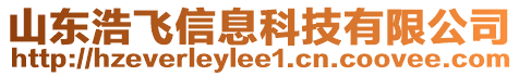 山東浩飛信息科技有限公司