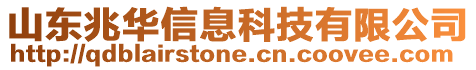 山東兆華信息科技有限公司