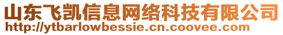 山東飛凱信息網(wǎng)絡科技有限公司