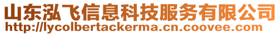 山東泓飛信息科技服務有限公司