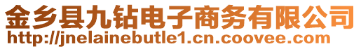 金鄉(xiāng)縣九鉆電子商務有限公司