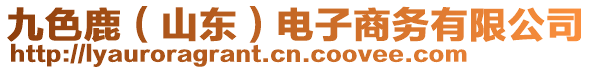 九色鹿（山東）電子商務(wù)有限公司