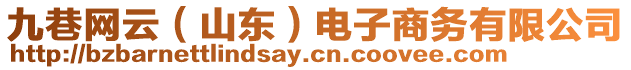 九巷網(wǎng)云（山東）電子商務(wù)有限公司