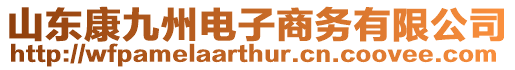 山東康九州電子商務(wù)有限公司