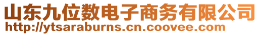 山東九位數(shù)電子商務(wù)有限公司