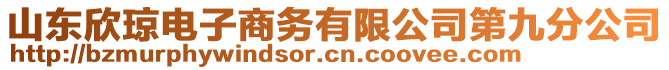 山東欣瓊電子商務有限公司第九分公司